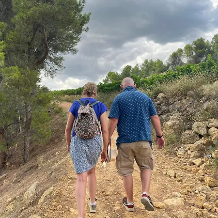 Les Volets Lavande Aubignan